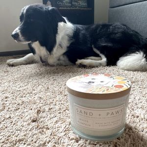 Sand + Paws White Pumpkin Dog & Pet Candle